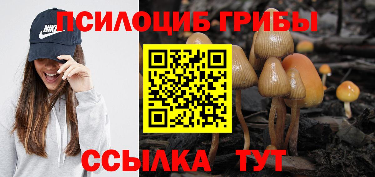 Галлюциногенные грибы MAGIC MUSHROOMS  Псилоцибиновые грибы мухоморы  Вход с VPN  Михайловск 