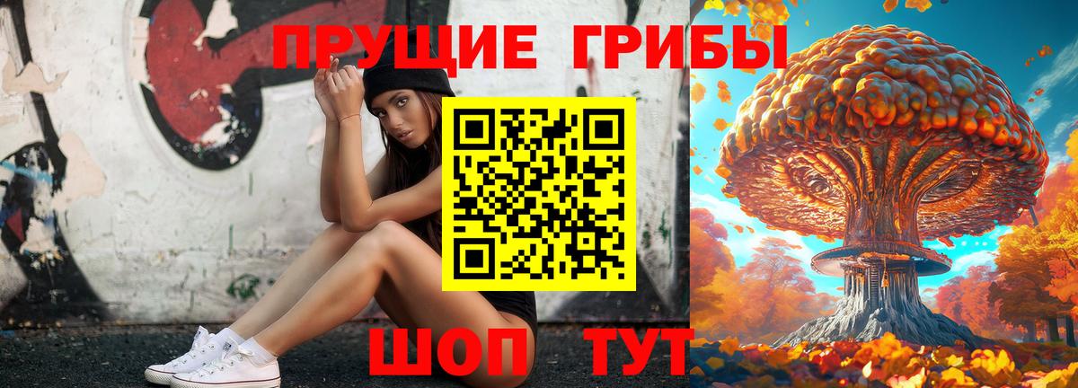 Псилоцибиновые грибы Psilocybe Михайловск